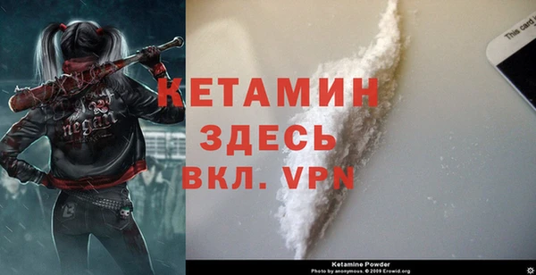 стафф Алексин