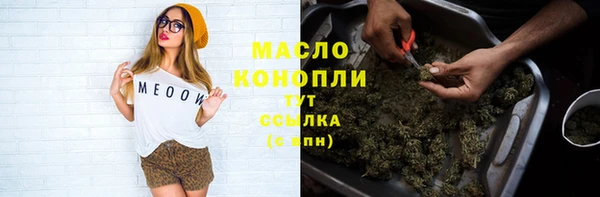 прущие грибы Алзамай