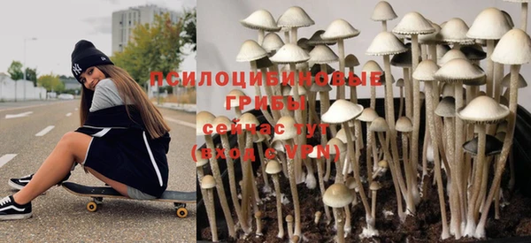 амфетамин Алексеевка